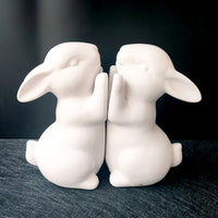 Serre livre lapin