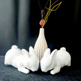 Serre livre lapin