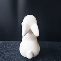 Serre livre lapin