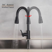 Robinet de cuisine extractible en argent, robinet de cuisine en Nickel à poignée unique, poignée monotrou, pulvérisateur pivotant, robinet mitigeur d'eau