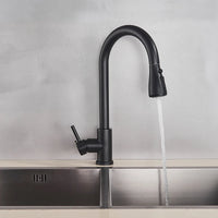 Robinet de cuisine extractible en argent, robinet de cuisine en Nickel à poignée unique, poignée monotrou, pulvérisateur pivotant, robinet mitigeur d'eau