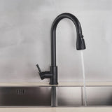 Robinet de cuisine extractible en argent, robinet de cuisine en Nickel à poignée unique, poignée monotrou, pulvérisateur pivotant, robinet mitigeur d'eau