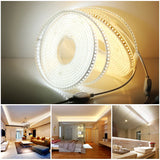 Nouvelle arrivée : Bande LED 220V 4040 Haute sécurité Haute luminosité 120 LED/m 13 W/m Étanche Flexible Lumière LED La meilleure bande LED.