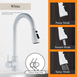 Robinet de cuisine extractible en argent, robinet de cuisine en Nickel à poignée unique, poignée monotrou, pulvérisateur pivotant, robinet mitigeur d'eau