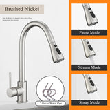 Robinet de cuisine extractible en argent, robinet de cuisine en Nickel à poignée unique, poignée monotrou, pulvérisateur pivotant, robinet mitigeur d'eau