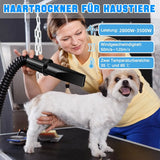 Sèche-cheveux intelligent à ions négatifs pour animaux de compagnie, idéal pour les grands chiens. Puissance : 3 500 W. Équipé de 4 embouts.