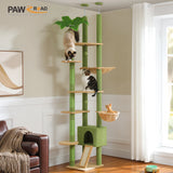 Arbre à chat Cactus du sol au plafond, tour à chat réglable en hauteur avec Hamac confortable pour condote de chat et arbre à gratter, grand arbre d'activité