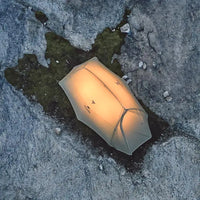 Tente de camping ultralégère Naturehike Cloud Up Pro pour 2 personnes, 3 saisons, moustiquaire 20D, portable, pour la randonnée et les voyages en plein air, avec tapis de sol.