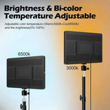 LED lumières vidéo conférence photographie éclairage Selfie lumière Photo Studio lampe avec trépied pour tirer en direct Streaming TikTok Zoom