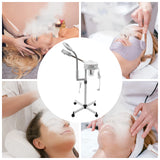 Lampe loupe 2 en 1 750W, vaporisateur d'ozone chaud, dispositif de vapeur, Machine de Sauna faciale avec lumière 5X