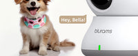 Caméra de surveillance pour bébé Caméra de sécurité domestique HD 2K avec détection de mouvement et audio bidirectionnel, installation facile, jour et nuit claires