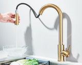 Robinet d'évier de cuisine extractible, deux fonctions, mitigeur d'eau chaude et froide à poignée unique, monté sur le pont
