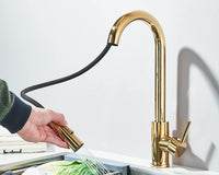Robinet d'évier de cuisine extractible, deux fonctions, mitigeur d'eau chaude et froide à poignée unique, monté sur le pont