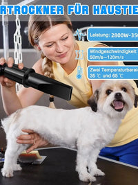Sèche-cheveux intelligent à ions négatifs pour animaux de compagnie, idéal pour les grands chiens. Puissance : 3 500 W. Équipé de 4 embouts.