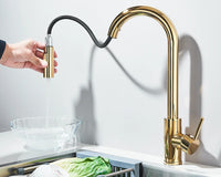 Robinet d'évier de cuisine extractible, deux fonctions, mitigeur d'eau chaude et froide à poignée unique, monté sur le pont