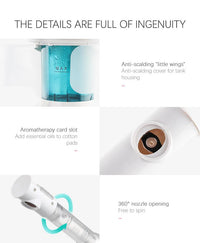 KSKIN Vaporisateur facial portable personnalisé en promotion, vaporisateur ionique professionnel pour le visage