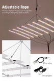 Lampe de culture LED à spectre complet 100W/200W AC100-277V LM281B pour la croissance végétative, la floraison, les serres et les tentes de culture.