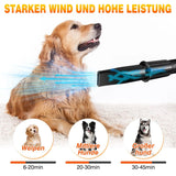 Sèche-cheveux intelligent à ions négatifs pour animaux de compagnie, idéal pour les grands chiens. Puissance : 3 500 W. Équipé de 4 embouts.
