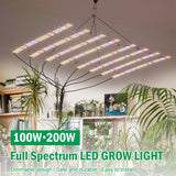 Lampe de culture LED à spectre complet 100W/200W AC100-277V LM281B pour la croissance végétative, la floraison, les serres et les tentes de culture.