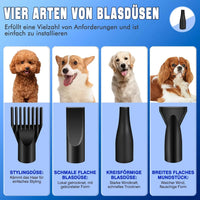 Sèche-cheveux intelligent à ions négatifs pour animaux de compagnie, idéal pour les grands chiens. Puissance : 3 500 W. Équipé de 4 embouts.