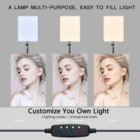 LED lumières vidéo conférence photographie éclairage Selfie lumière Photo Studio lampe avec trépied pour tirer en direct Streaming TikTok Zoom