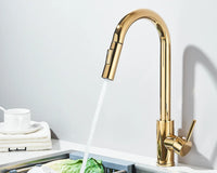 Robinet d'évier de cuisine extractible, deux fonctions, mitigeur d'eau chaude et froide à poignée unique, monté sur le pont