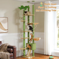 Arbre à chat Cactus du sol au plafond, tour à chat réglable en hauteur avec Hamac confortable pour condote de chat et arbre à gratter, grand arbre d'activité