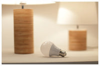 Lot de 10 ampoules LED E27/E14 (20W, 18W, 15W, 12W, 9W, 6W, 3W) - Alimentation 220V - Éclairage spot - Blanc froid/chaud