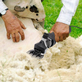 220V électrique mouton animal de compagnie tondeuse à cheveux Kit de cisaillement laine coupe chèvre animal de compagnie cisaillement fournitures ferme coupe Machine