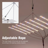 Lampe de culture LED à spectre complet 100W/200W AC100-277V LM281B pour la croissance végétative, la floraison, les serres et les tentes de culture.