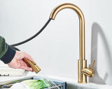 Robinet d'évier de cuisine extractible, deux fonctions, mitigeur d'eau chaude et froide à poignée unique, monté sur le pont
